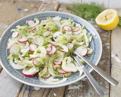 Radieschen-Fenchel- Salat