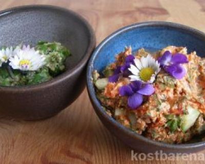 Brotaufstriche mit wilden Kräutern – lecker und gesund