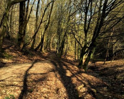 Wanderung durch das Gelpetal in Wuppertal und Linsencurry