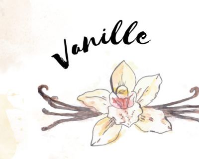 Adventstürchen Nr. 1: Vanillepudding