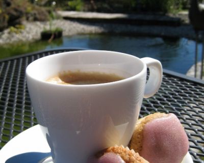 Mandel-Kirsch Bussis