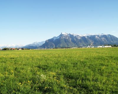 Frühlingstage - und cremiger Artischocken-Dip