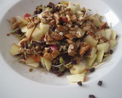 Rohes Apfel-Zimt-Granola mit Kakaonibs