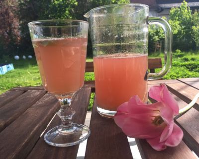 hausgemachte Rhabarberlimonade