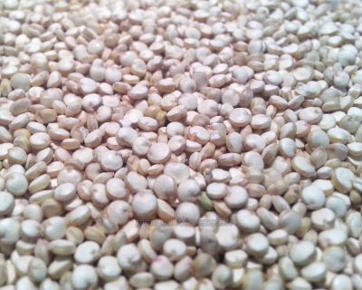 Quinoa-Bohnen-Salat mit Chili-Vinaigrette