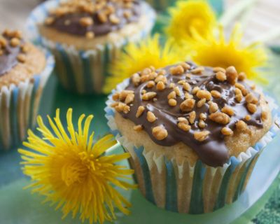 Löwenzahn-Muffins mit Orange und Zitrone