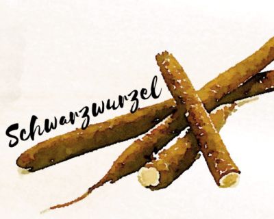Adventstürchen Nr. 3: Schwarzwurzel mit cremiger Mandelsahne und Pellkartoffeln