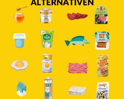 Dein Leitfaden zu veganen Alternativen – Ein 1x1 für bewusstes und nachhaltiges Leben