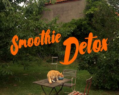 Smoothie Detox auf dem Bauernhof (mit Rezept)
