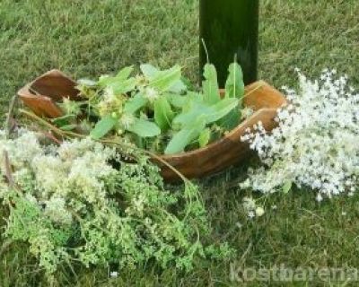Köstlicher Gesundbrunnen-Blüten-Sirup mit großer Heilkraft