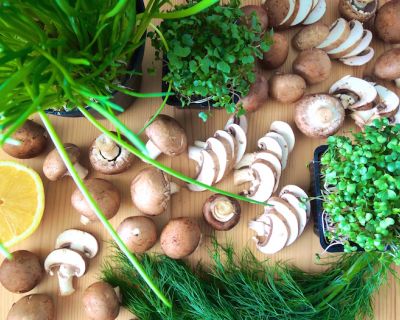 Essen und abnehmen: Marinierte Champignons rohvegan und fettfrei