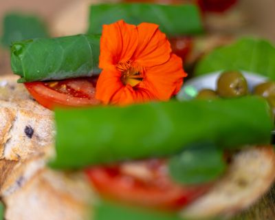 Kapuzinerkresseröllchen mit würziger Cashew-Frischkäse-Füllung