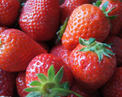 Erdbeeren mit frischer Minze und Basilikum