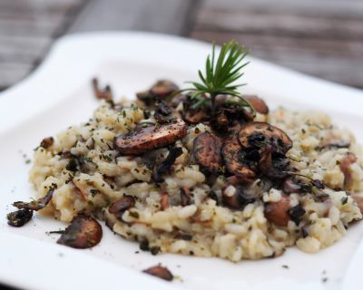 Champignon-Kräuter-Risotto (Gastpost für Krisi)