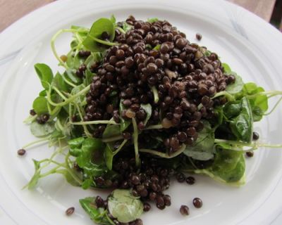 Linsen-Brunnenkresse-Salat