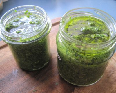 Löwenzahn-Pesto