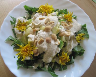Wildpflanzen-Avocado-Erdnuss-Salat