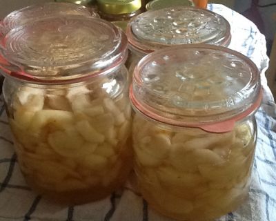 Aprikosen-Ingwer-Chutney