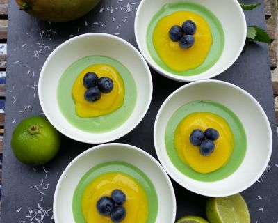 Brasilien Creme Pudding – Exotisch fruchtiges lässt die Sonne scheinen