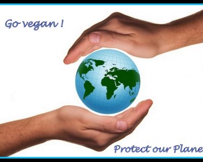 Veganer werden- 5 Fehler, die Anfänger machen!