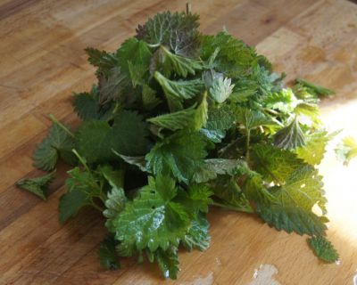 Kartoffelsalat mit Brennnesseln-Gesund und lecker