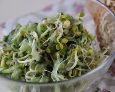 Sprossen-Gurken-Salat