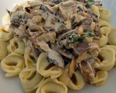 Tortellini mit Champignon Rahmsauce