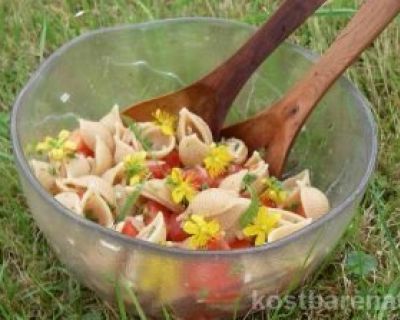 Nudelsalat mit Schafgarbe – würzig und gesund