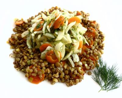 FENCHEL-MÖHREN-ROHKOST AUF BRAUNEN LINSEN