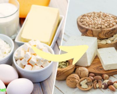 Lieblingsgerichte veganisieren: 8 tierische Zutaten einfach ersetzen