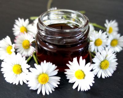 Gänseblümchen'honig'