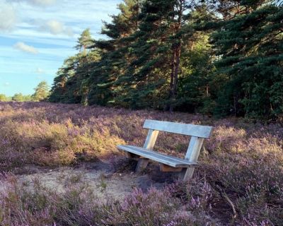 Wanderung in der Südheide und Zwetschgen-Porridge