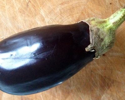 ‚Hot Melanzane menta‘ – Aubergine: scharf und minzig!