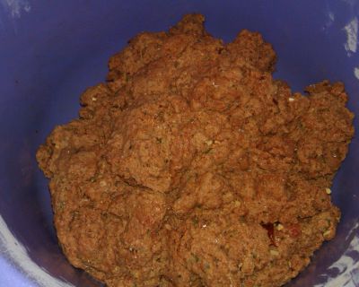 Barbecue-Seitan