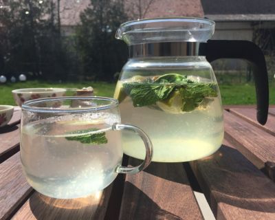 Pfefferminztee mit Limette und Ingwer