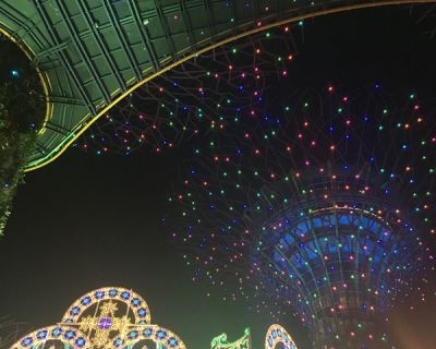 Restaurantreview vom 06.12.2017: Vegan Food in Singapore