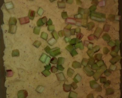 Erdbeer-Rhababer-Streuselkuchen