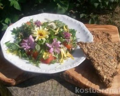 Bunter Sommersalat mit Wildkräutern