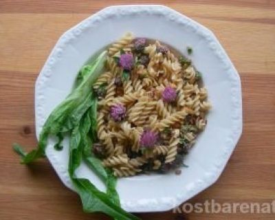 Kleeblüten als warme Mahlzeit – schmackhaft und gesund