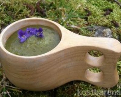 Grüne Wildkräuter-Smoothies als perfekte Magnesium-Quelle