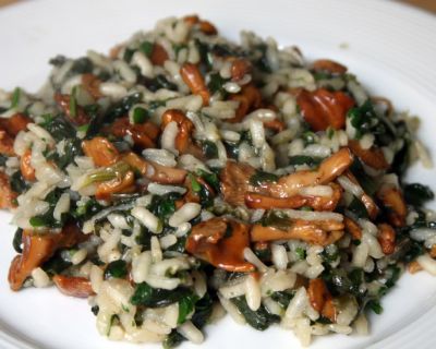 Pfifferlingrisotto