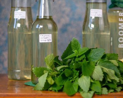 Zitronenmelisse-Sirup für Zitronenmelisse-Limonade