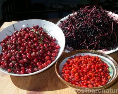 Vitamin-C-Gelee aus Weißdorn, Berberitzen und Holunder