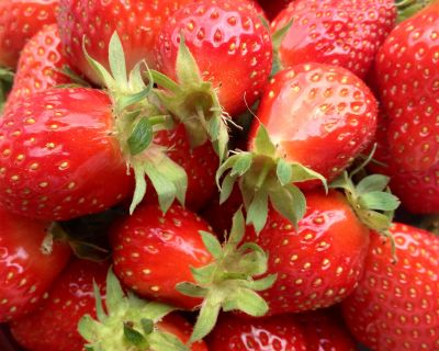 Chia Erdbeermarmelade ohne Kochen