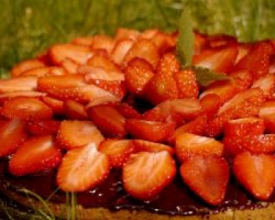 Erdbeer-Biskuit-Kuchen mit Zartbitterschokoschicht